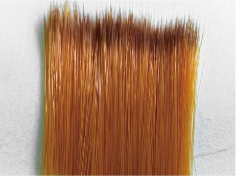 Two-Layered Tapered Artist Cosmetic Brush Filament