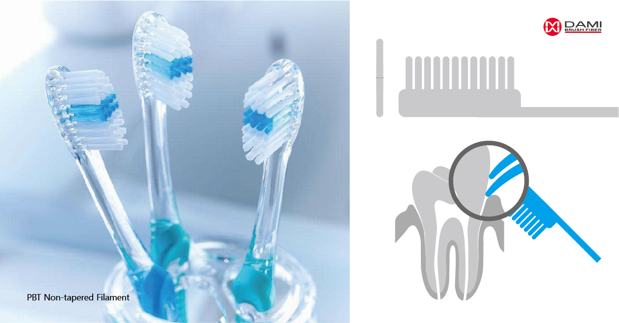 PBT NYLON NON-TAPERED BRISTLE FILAMENT FOR TOOTHBRUSH MANUFACTURING PBT Non-tapered Toothbrush Bristle Filament插图1