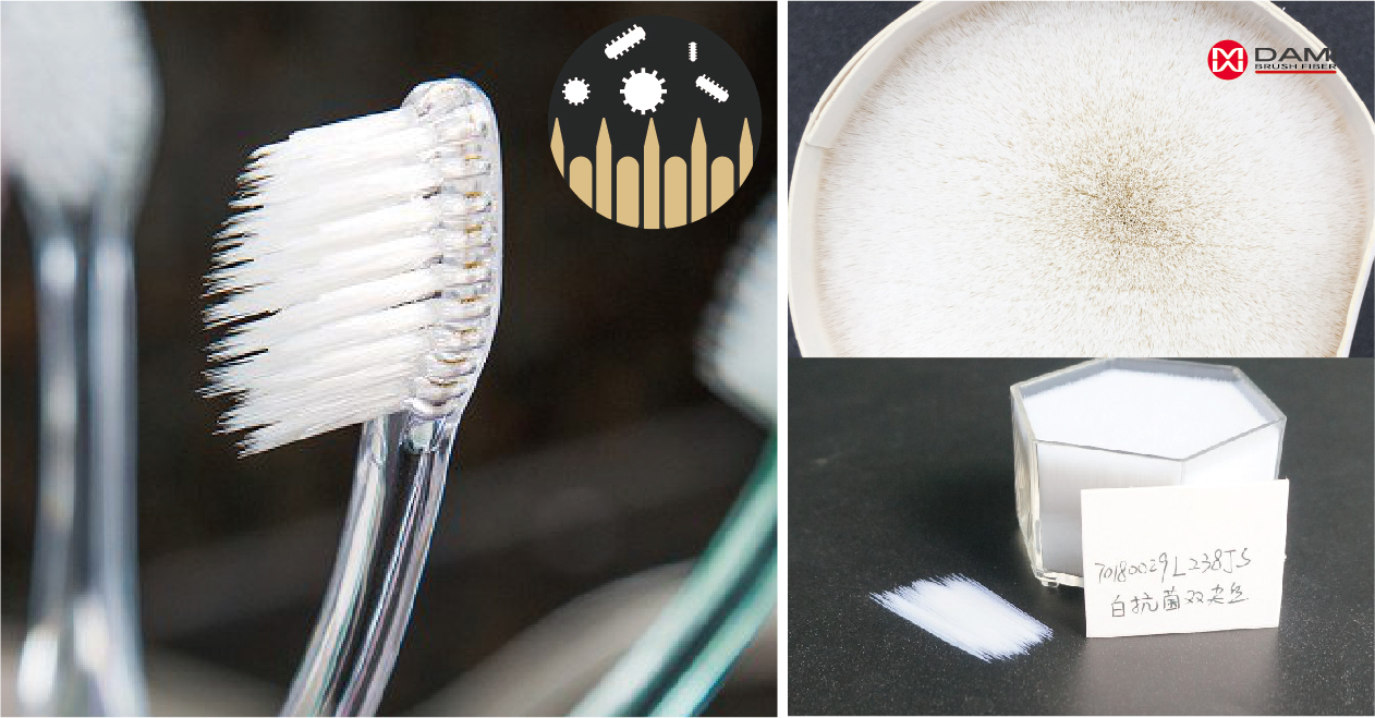white antibacterial pbt tapered toothbrush bristle filament White Antibacterial Nanosilver Tapered Toothbrush Filament插图