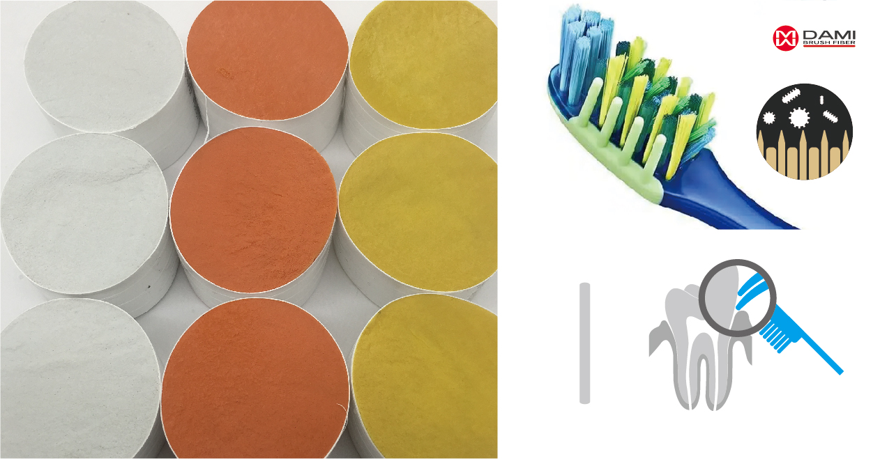 antibacterial Nylon Polyadmide PA PBT toothbrush bristle filament Antibacterial Nylon612 610 Polyamide PBT PA Bristle Filament插图